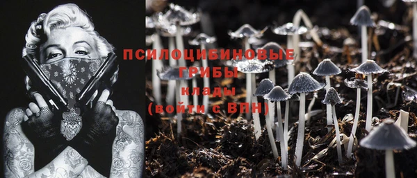 молекула духа Балабаново