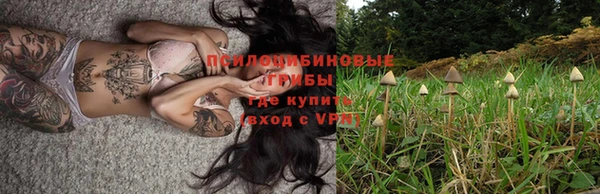 PSILOCYBIN Сафоново