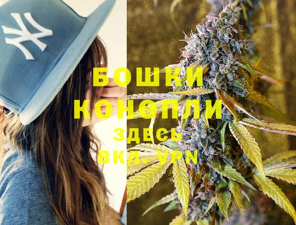 прущие грибы Сатка