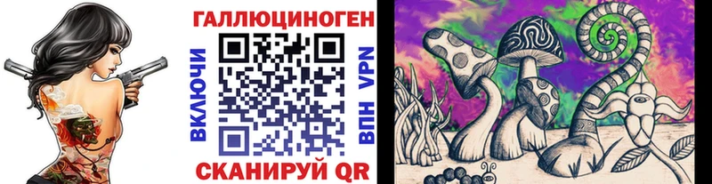 гидра ссылки  Павловская  Галлюциногенные грибы Psilocybine cubensis 